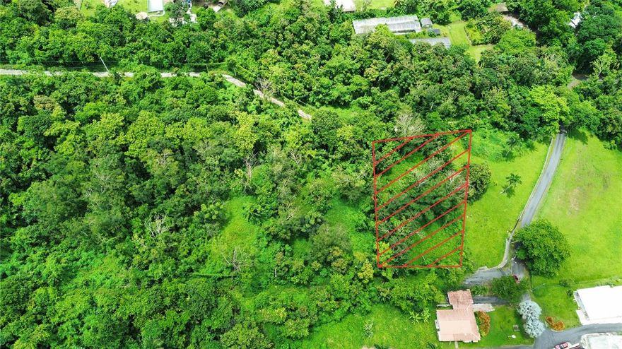 Lot classified as A-G (General Agricultural) located in a completely relaxing and tranquil mountainous area of Luquillo. The lot has access to water and electricity. Comes with site plans and legal segregation. You can build the home of your dreams, develop ecotourism and agritourism activities, Airbnb rentals, a Bed & Breakfast, and much more... Strategically located near everything you need to relax. Just 10 minutes from Luquillo Beach, the Luquillo Kiosks, and Playa La Pared; it's also only 15 minutes from El Yunque and 40 minutes from the airport (SJU). Additionally, it’s close to the ferry terminal (Vieques and Culebra), Hacienda Carabalí, Las Croabas, hotels, and beaches.

All basic needs and tourist attractions are just a short distance away. Don’t miss the opportunity to acquire this property where you can build the investment or dream home you’ve always wanted, with everything you need close by. Take advantage today!