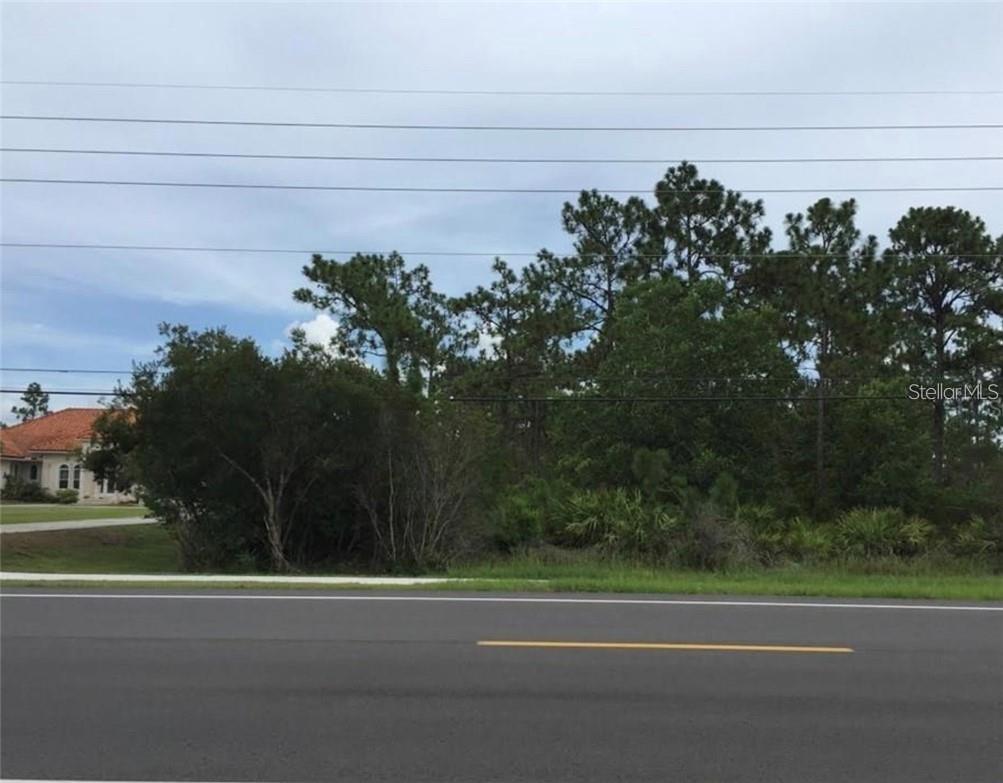 Ready to build in the desirable Cape Orlando Estates / Rocket City. With 2.61 acres you will have plenty of room to build a nice size house with a pool, have horses, room for toys and more. close access to 520 & 528 easy commute to airport, Orlando, Lake Nona, Disney, the beaches and so much more! The Hal Scott Preserve provides over 20 miles of nature trails and horse riding trails, fishing lakes, and camping.The communities covenants and restrictions require a minimum 1,700 sq. ft.