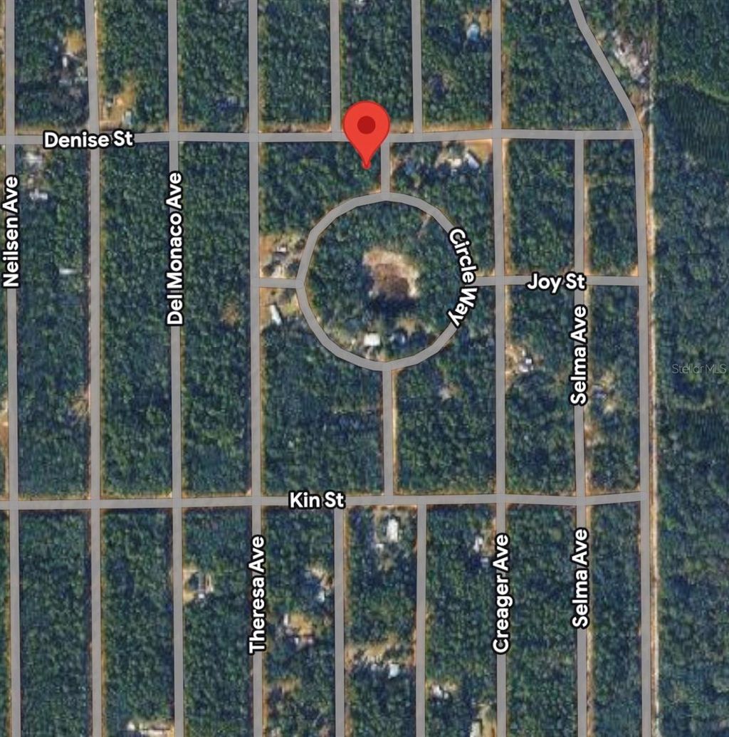 Photo of Denise Street, Interlachen, FL 32148 (MLS # A4698082)