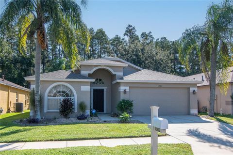 30912 BURLEIGH DRIVE WESLEY CHAPEL FL 33543