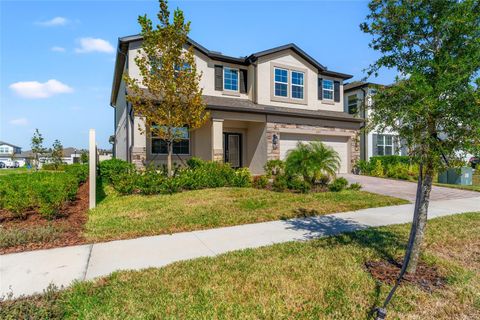 A home in WESLEY CHAPEL