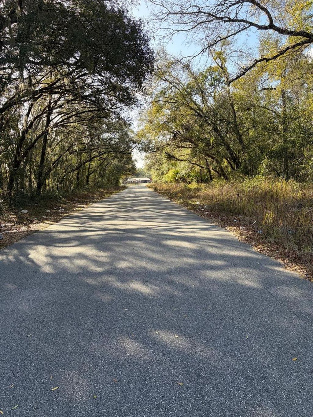 Photo of 4414 Cobalt Street, Palatka, FL 32177 (MLS # O6388694)