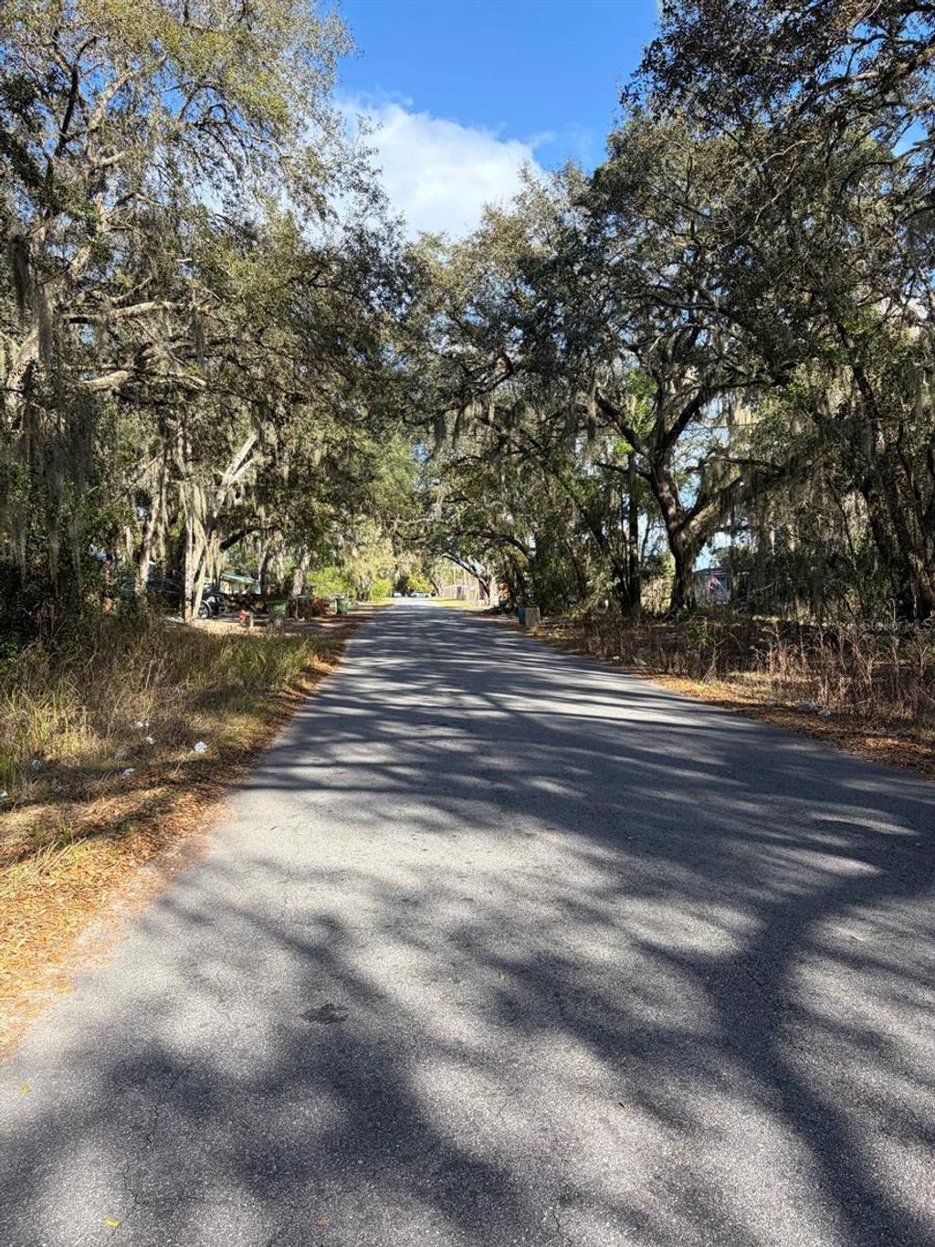 Photo of 4414 Cobalt Street, Palatka, FL 32177 (MLS # O6388694)