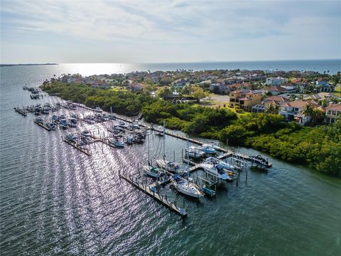 A home in APOLLO BEACH