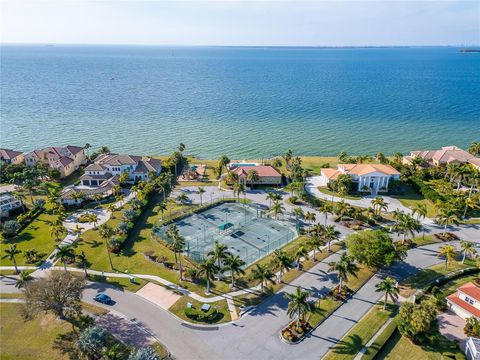 A home in APOLLO BEACH