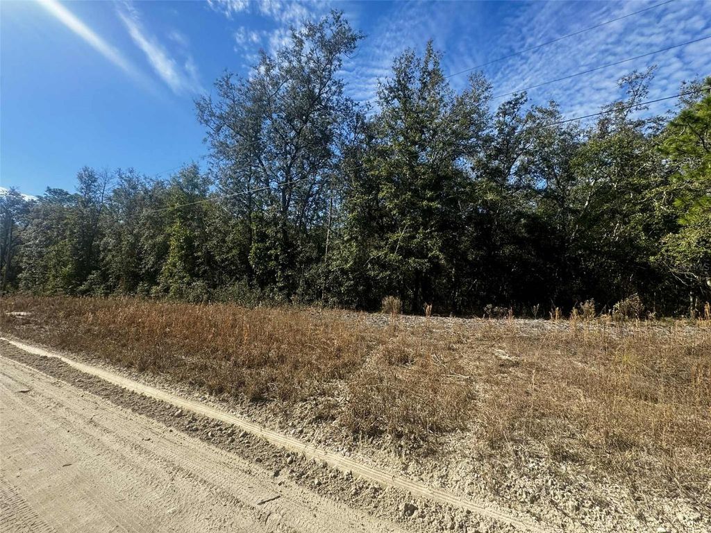 Photo of Tbd 109th Drive, OBrien, FL 32071 (MLS # GC536927)