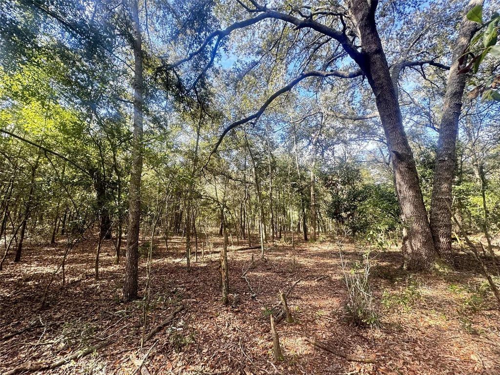 Photo of Tbd 109th Drive, OBrien, FL 32071 (MLS # GC536927)