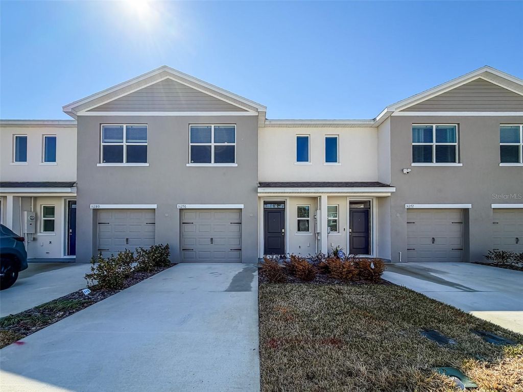 Photo of 31276 Paper Birch Street, Wesley Chapel, FL 33545 (MLS # TB8479676)