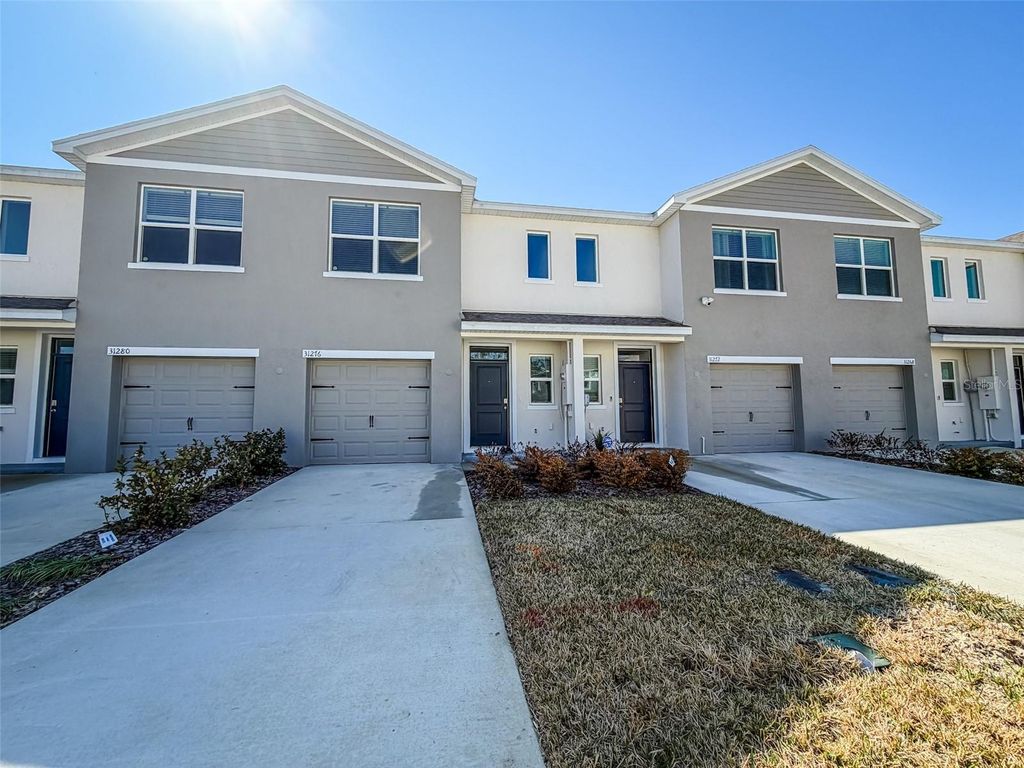 Photo of 31276 Paper Birch Street, Wesley Chapel, FL 33545 (MLS # TB8479676)