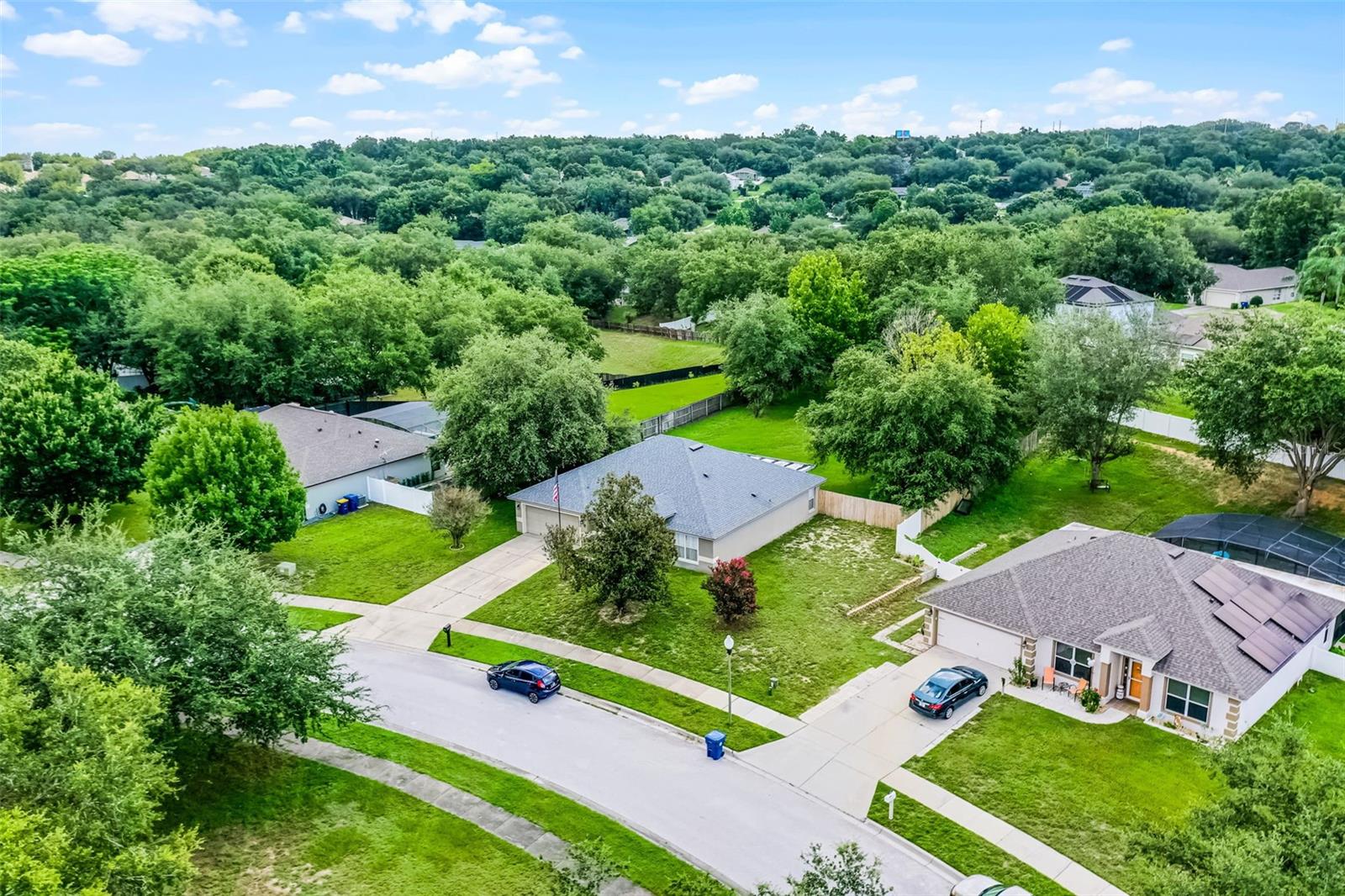1113 CANOPY OAKS DRIVE