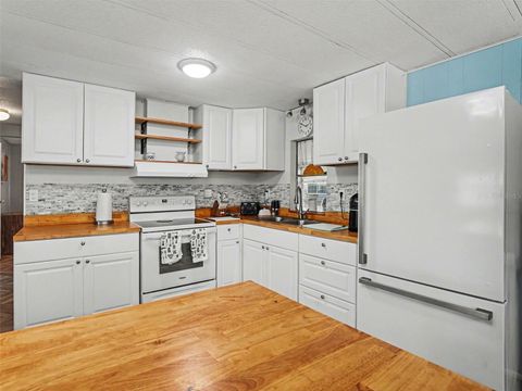 Tiny photo for 1124 Forest Lane, Tavares, FL 32778 (MLS # O6393722)