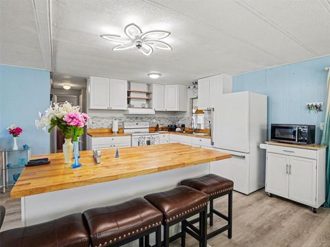 Tiny photo for 1124 Forest Lane, Tavares, FL 32778 (MLS # O6393722)