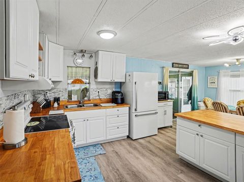 Tiny photo for 1124 Forest Lane, Tavares, FL 32778 (MLS # O6393722)