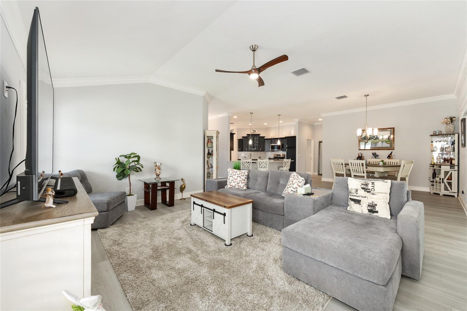 THE VILLAGES - Residential