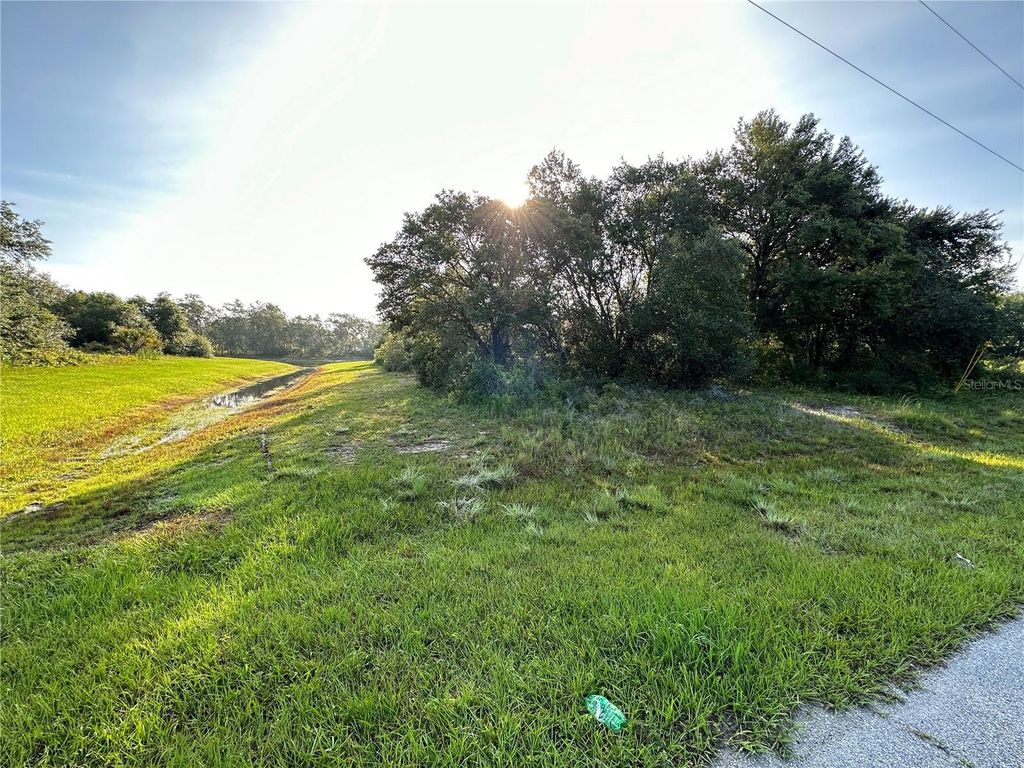 Photo of 0 Mediterranean Drive, Kissimmee, FL 34759 (MLS # O6396146)