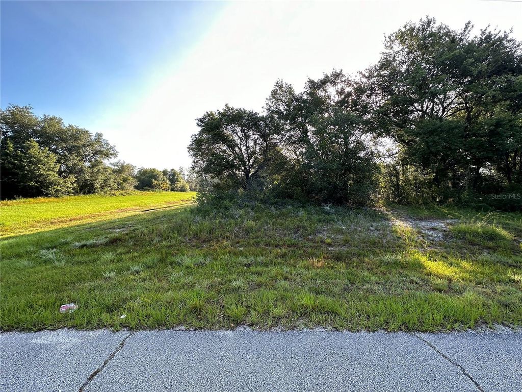 Photo of 0 Mediterranean Drive, Kissimmee, FL 34759 (MLS # O6396146)
