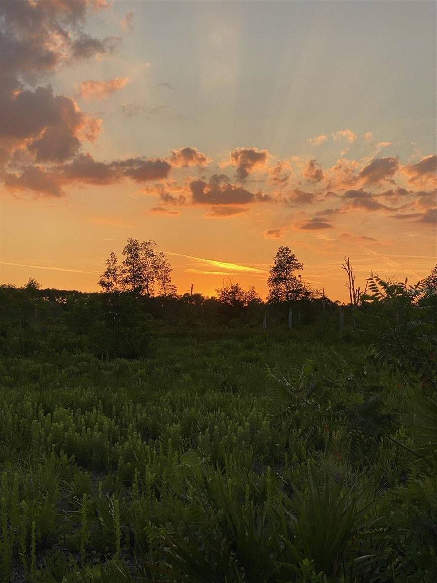 This remarkable 255-acre property is a canvas waiting for your vision. With its diverse landscape, including open fields, forested areas, and a charming pond, it offers a multitude of opportunities for various uses. Whether you envision a private estate, a sustainable farm, or a new residential community, this property provides the space and versatility to make your dreams a reality.

Enjoy the tranquility of country living while being just a short drive away from Mt Dora and Orlando. This property provides a peaceful retreat from the hustle and bustle of everyday life.

SELLER WILL CONSIDER OWNER FINANCING.