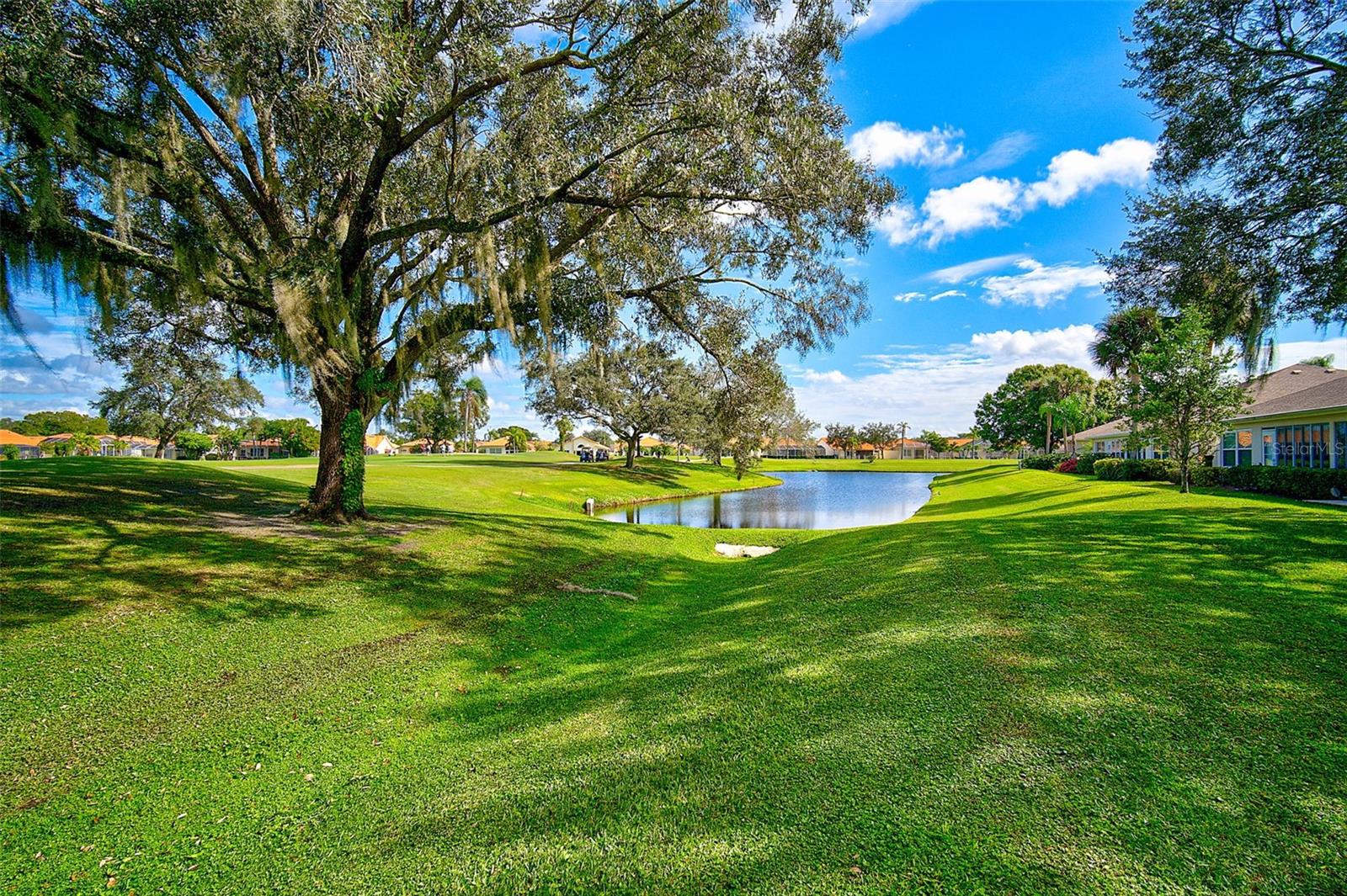 FAIRWAY TRACE - Residential