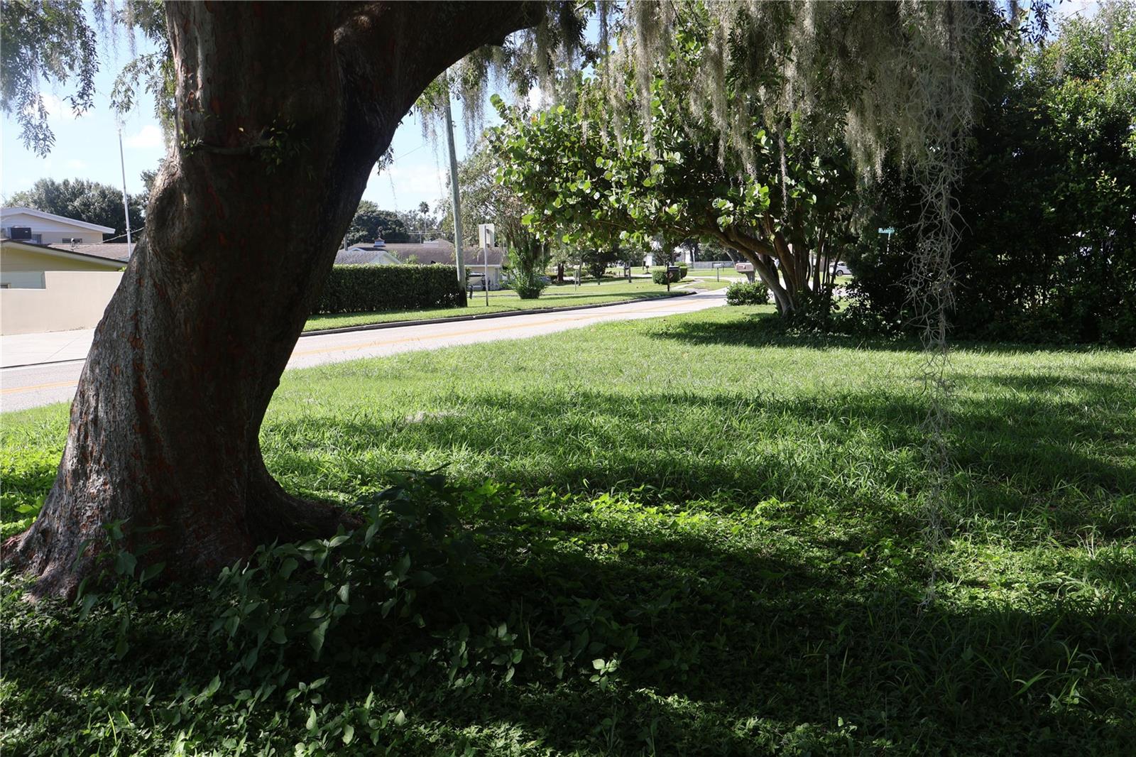 ELOISE WOODS LAKE ROY UNIT - Residential