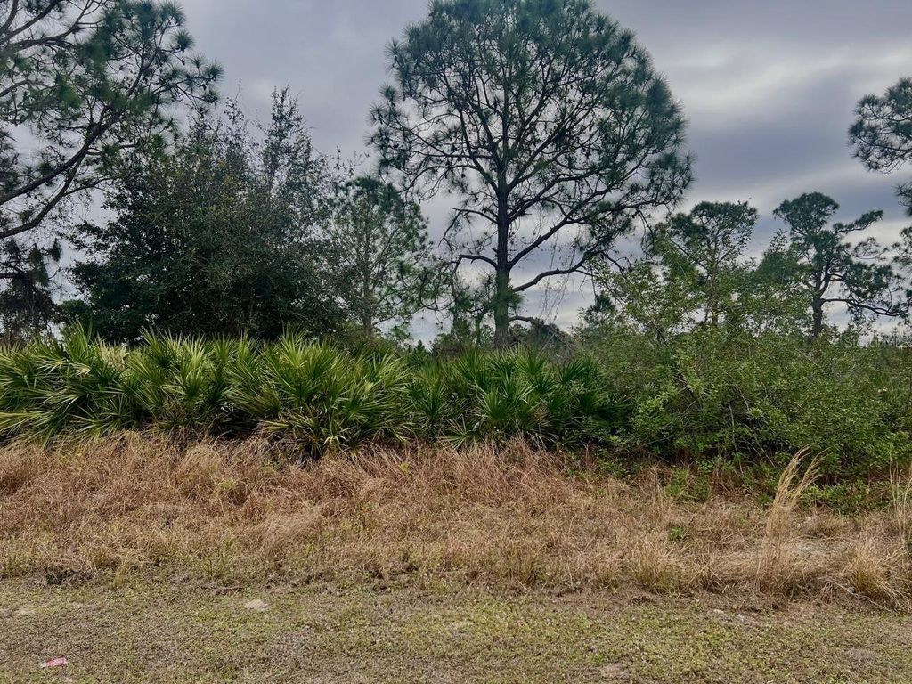 Photo of 439 Columbus Boulevard S, Lehigh Acres, FL 33974 (MLS # O6277604)