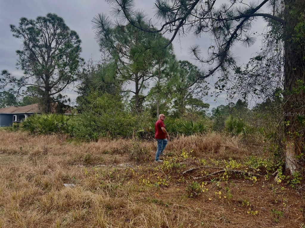 Photo of 439 Columbus Boulevard S, Lehigh Acres, FL 33974 (MLS # O6277604)