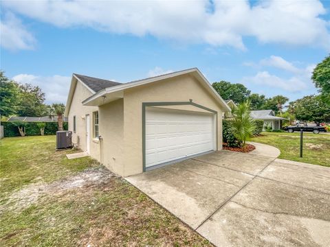 A home in MOUNT DORA