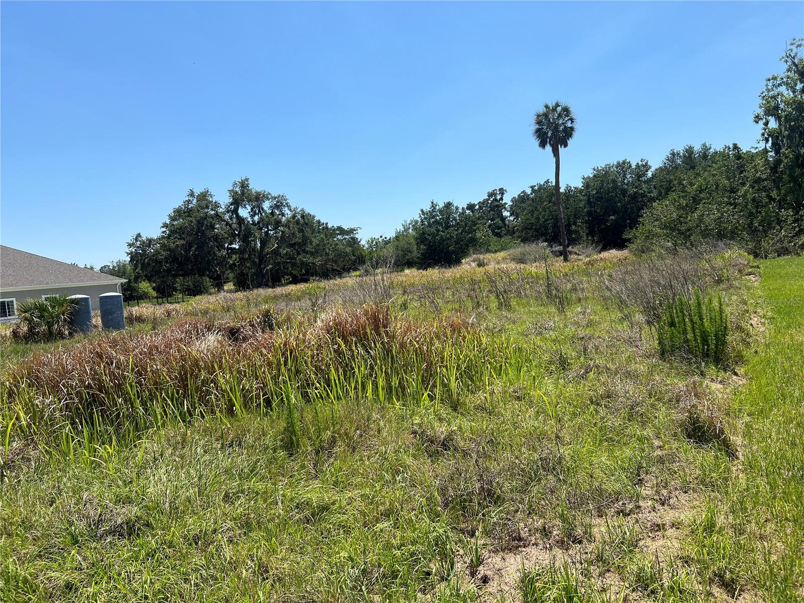 15315 FISHHAWK HEIGHTS RUN