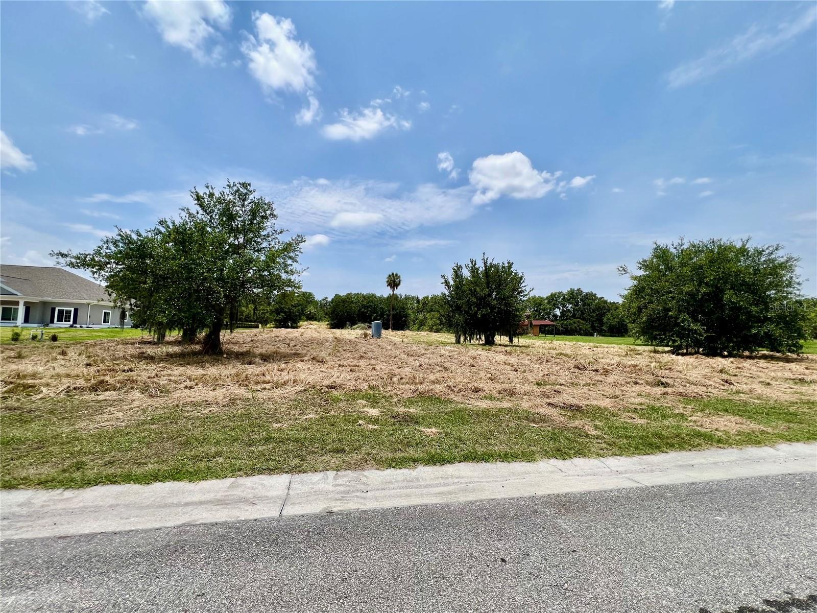 Discover the exceptional opportunity to build your custom dream home on this VACANT OASIS tucked within the exclusive gated community of FISHHAWK RESERVE in Lithia, Florida. Situated on a full acre, this peaceful homesite offers privacy and tranquility in a quiet gated neighborhood of only 18 properties. With an east-facing orientation, it’s the perfect setting to enjoy breathtaking sunset views from your future backyard. The property backs up to serene conservation land with no rear neighbors, creating a natural, secluded atmosphere. Residents benefit from underground utilities, including fiber-optic internet, no CDD fees, and a low monthly HOA. Outdoor enthusiasts will love the nearby access to parks, nature preserves, and miles of trails. With thoughtful architectural guidelines in place, this vacant oasis provides a rare chance to design a personalized home in a harmonious community.