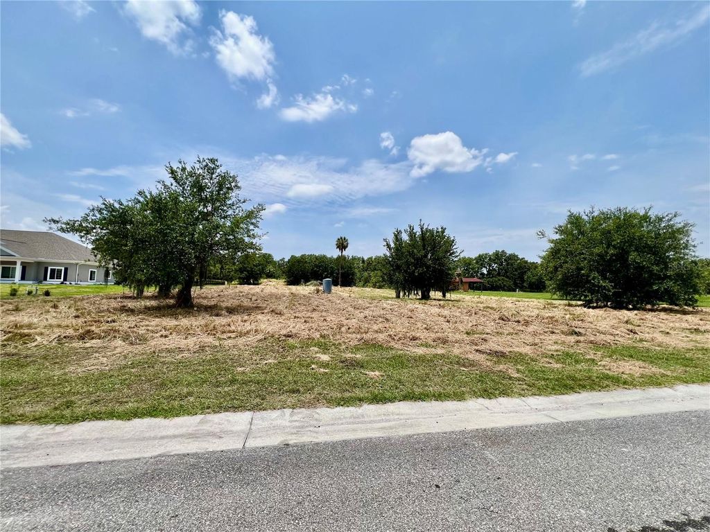 Photo of 15315 Fishhawk Heights Run, Lithia, FL 33547 (MLS # TB8387592)