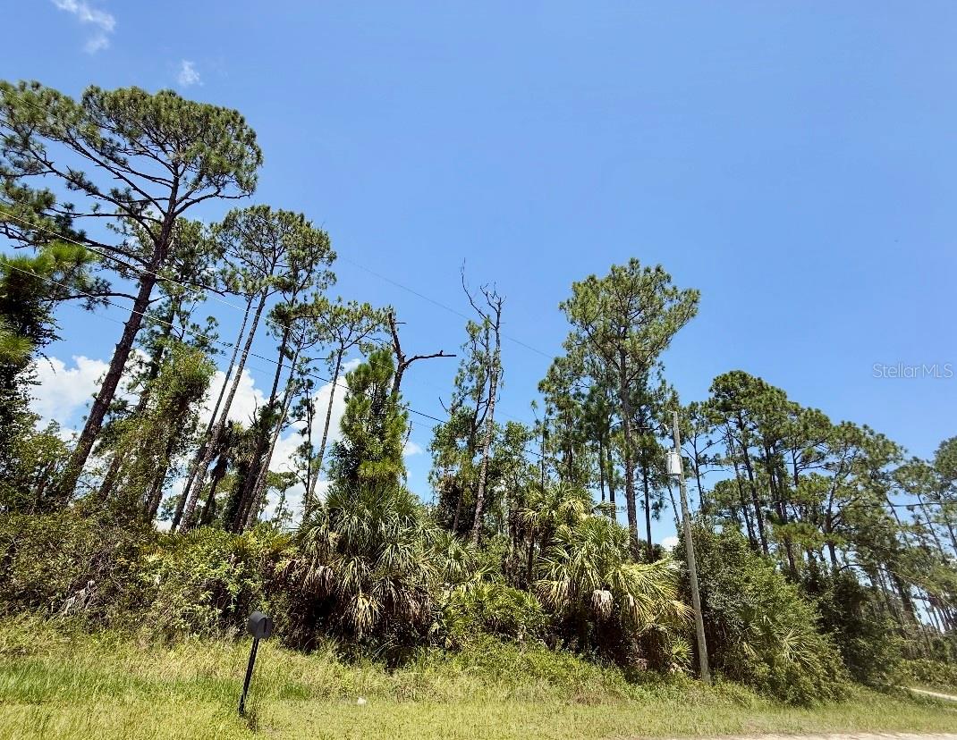Imagine building your dream home in the vibrant and growing community of North Port, FL.
This spacious lot provides ample room for a pool—perfect for creating your own private outdoor oasis for relaxation and entertaining. Enjoy being just minutes from the North Port Aquatic Center, as well as a variety of shopping, dining, and scenic parks. Plus, you’re only a short drive from the stunning Gulf beaches.
Don’t miss this opportunity to own a piece of Florida paradise!