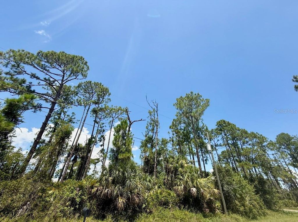 Photo of 2 Titan Street, North Port, FL 34286 (MLS # C7512970)