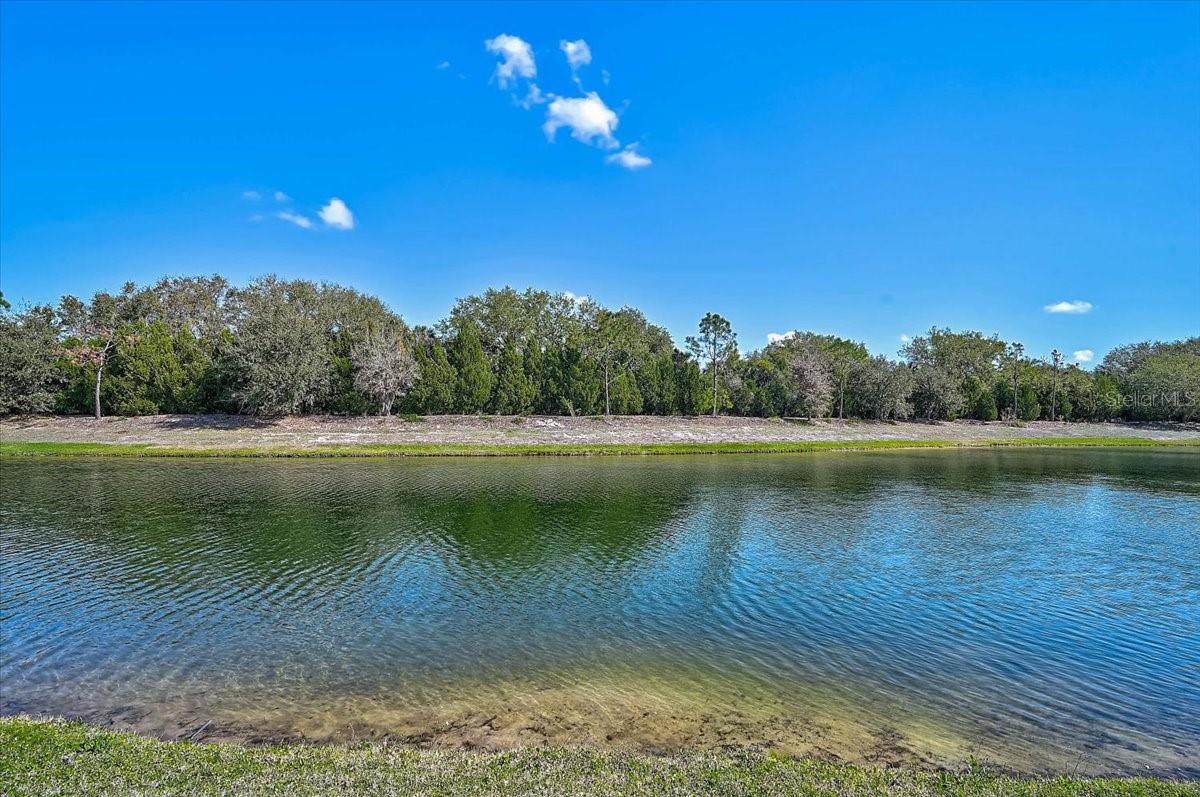 COUNTRY CLUB EAST AT LAKEWOOD RANCH SS - Residential