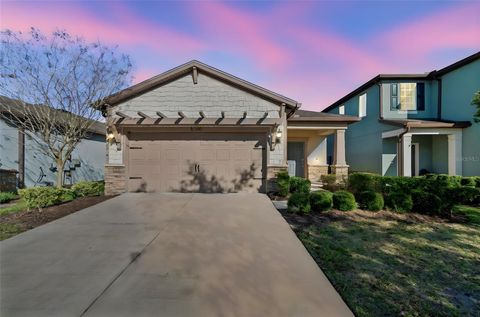 5340 FALLEN LEAF DRIVE RIVERVIEW FL 33578