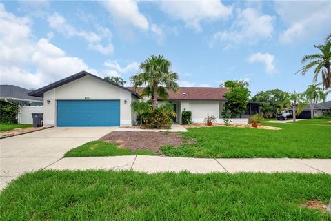 8635 CHADWICK DRIVE TAMPA FL 33635