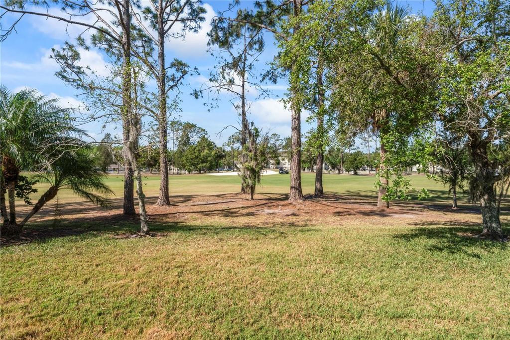 Photo of 10517 Palm Cove Avenue, Tampa, FL 33647 (MLS # TB8379864)