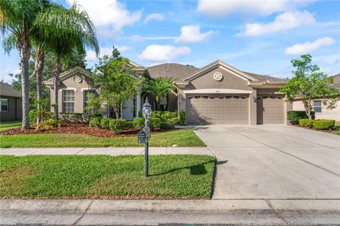 10517 PALM COVE AVENUE TAMPA FL 33647