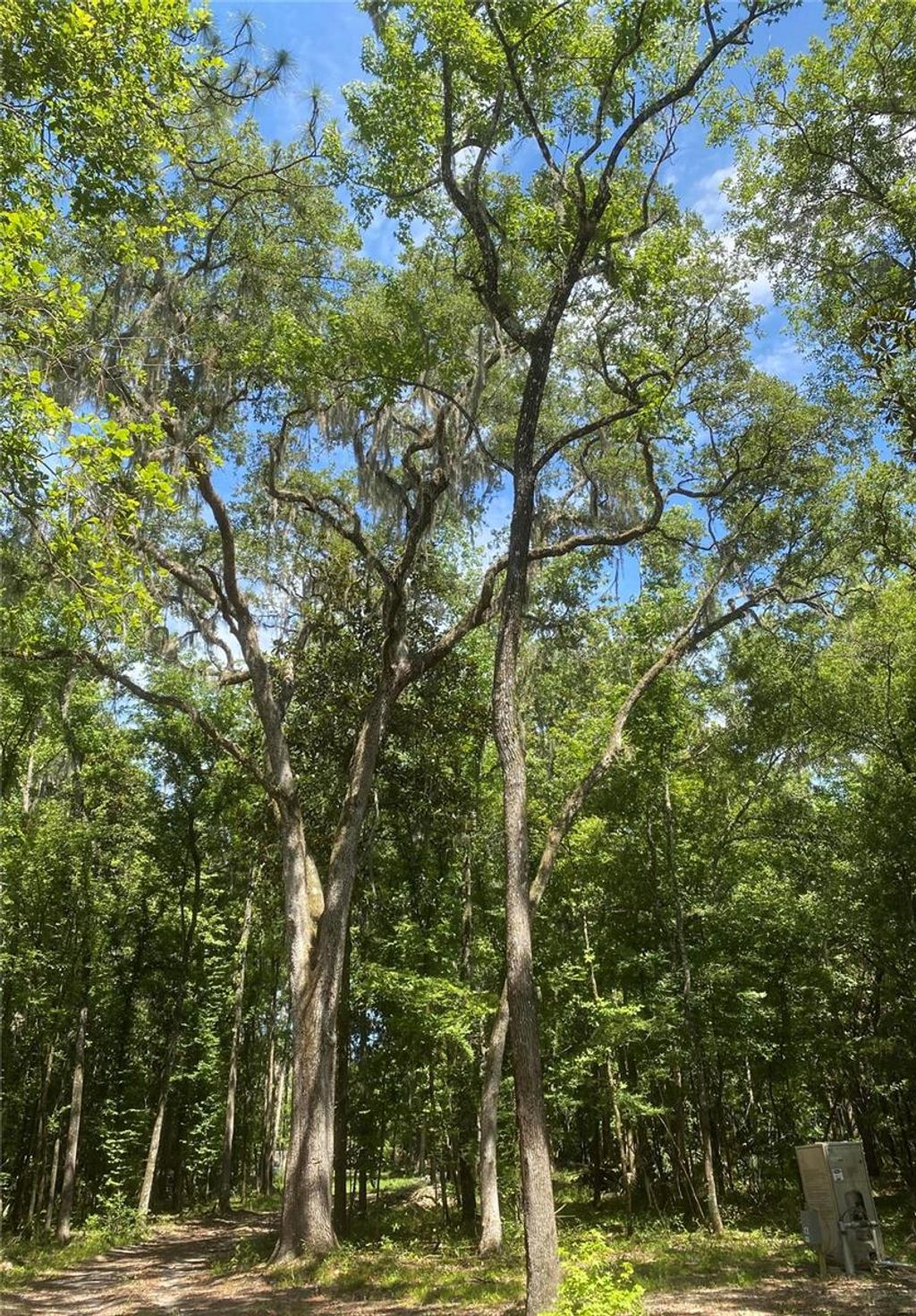 Photo of Snow Memorial Highway, Brooksville, FL 34601 (MLS # W7874138)