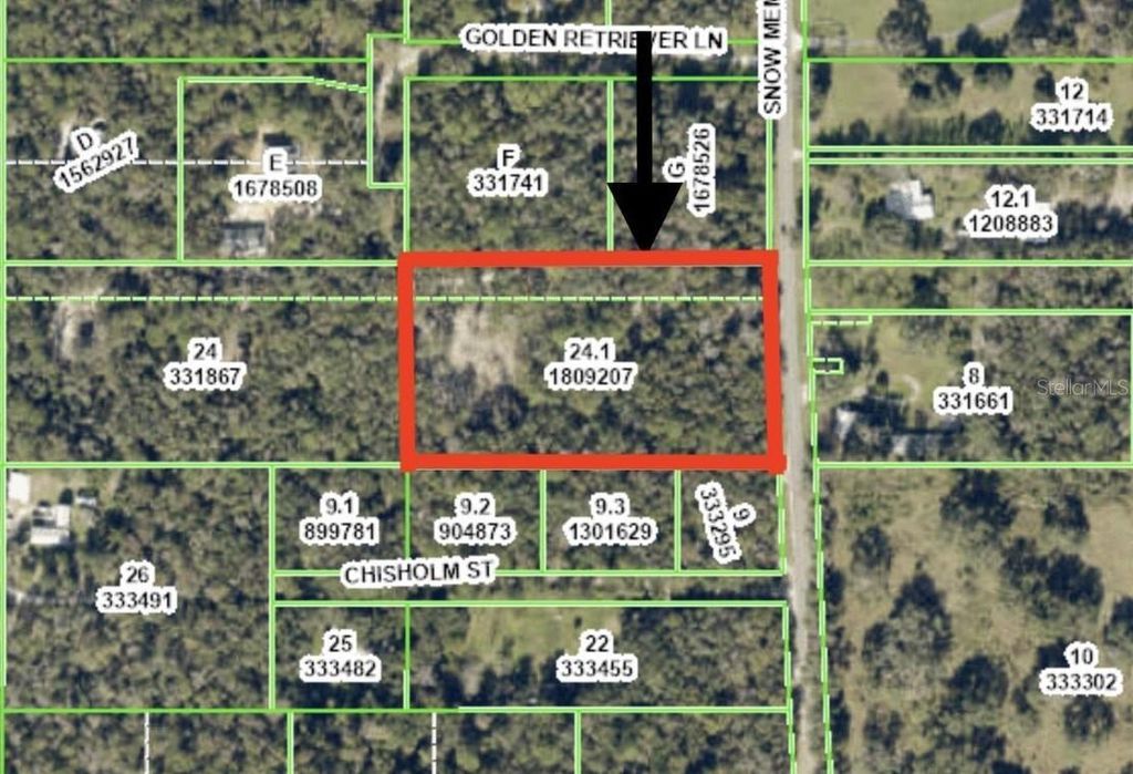 Photo of Snow Memorial Highway, Brooksville, FL 34601 (MLS # W7874138)