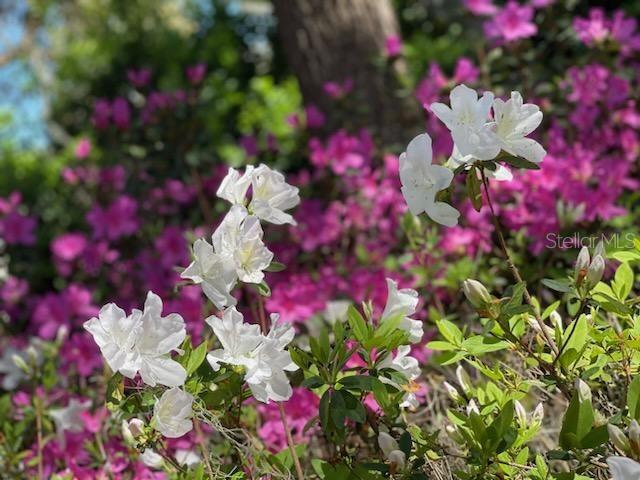 TIMBERWOOD - Residential