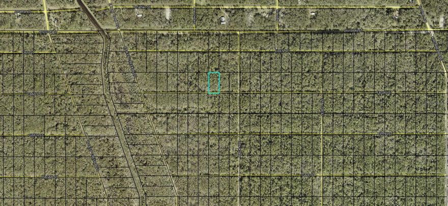 Here is your opportunity to own 1.14 acres in Flagler Estates located in Flagler County, Florida