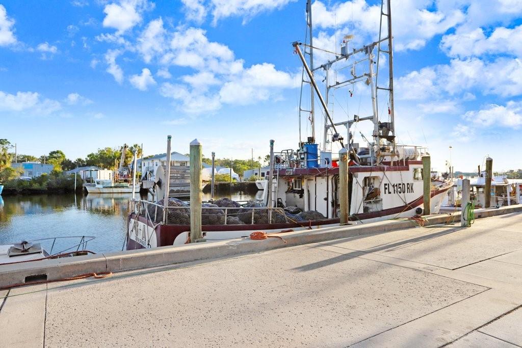 ANCLOTE ISLES - Residential