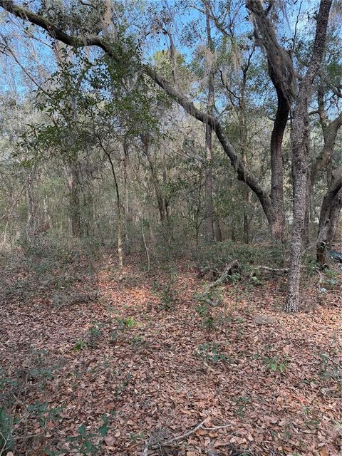 102 DAVID DRIVE INTERLACHEN FL 32148