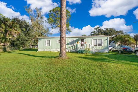 Photo of 25211 Antler Street, Christmas, FL 32709 (MLS # O6352841)
