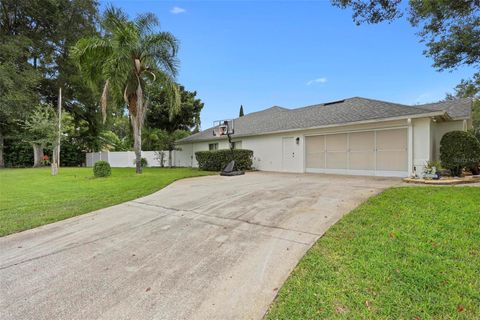 A home in DELAND