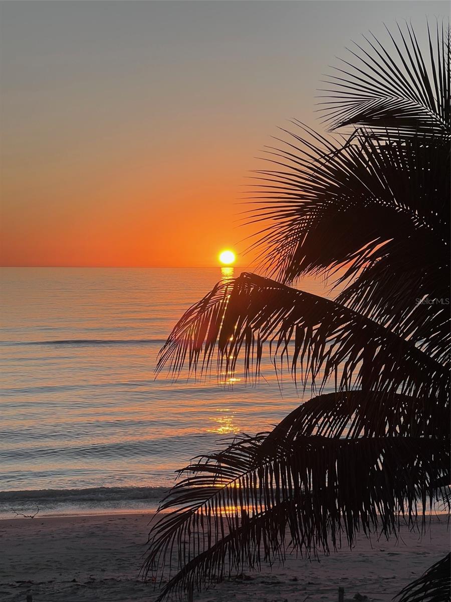 GASPARILLA SHORES - Residential