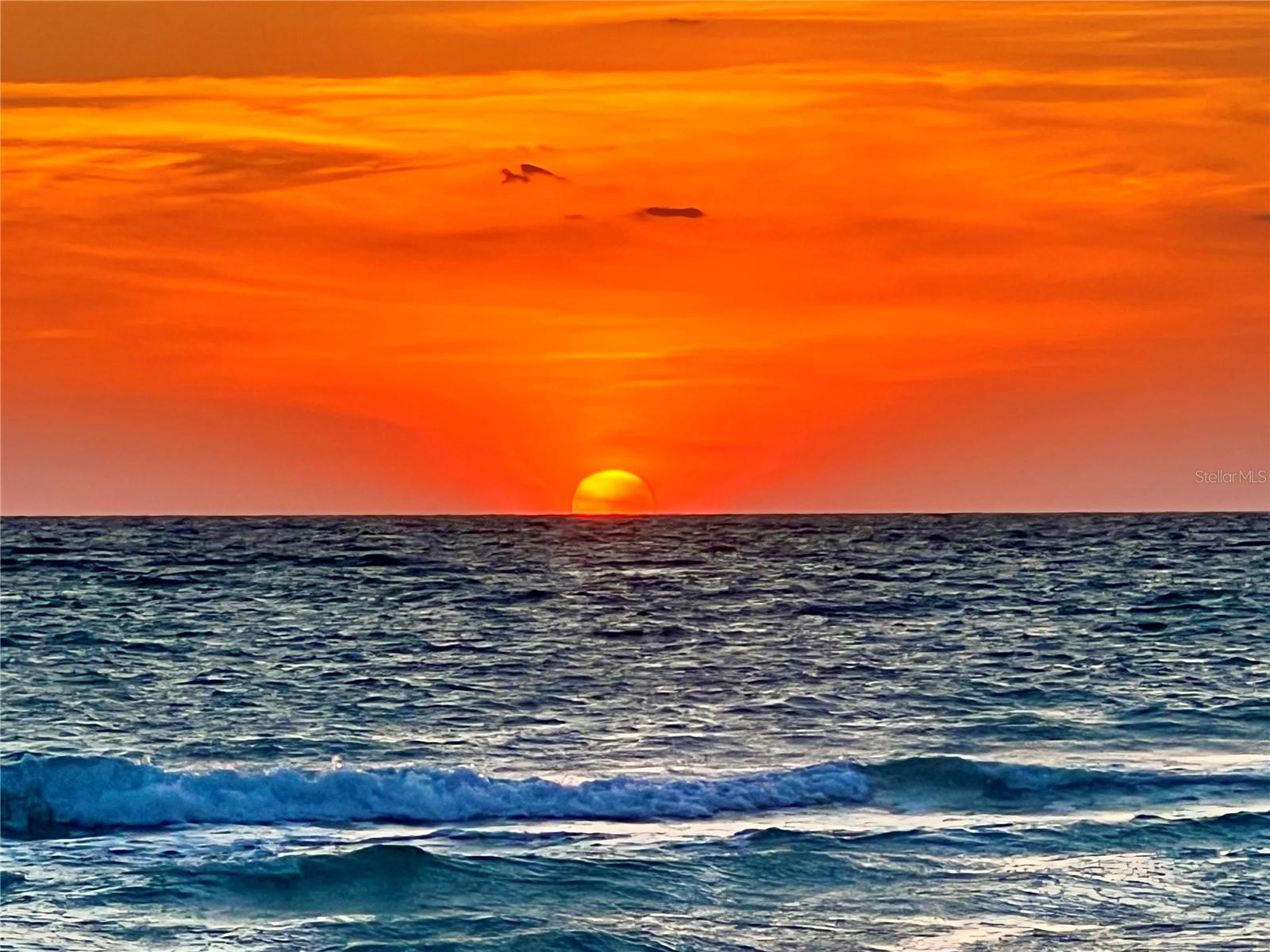 GASPARILLA SHORES - Residential