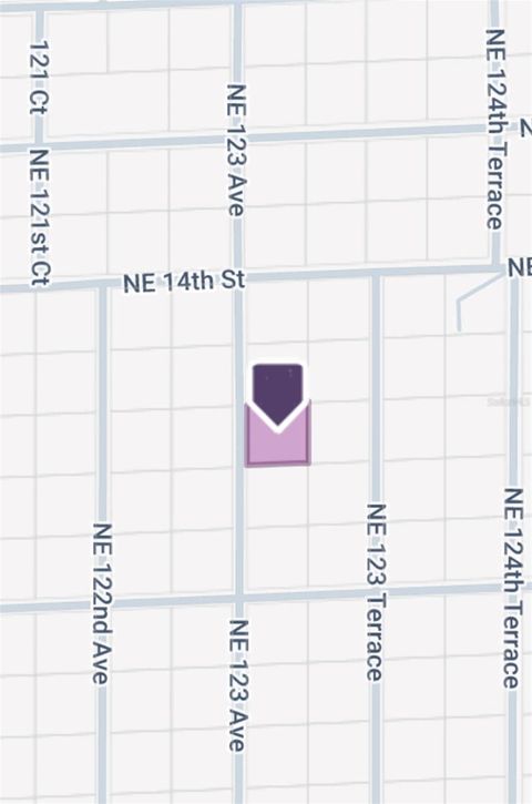 0 NE 123RD AVENUE WILLISTON FL 32696