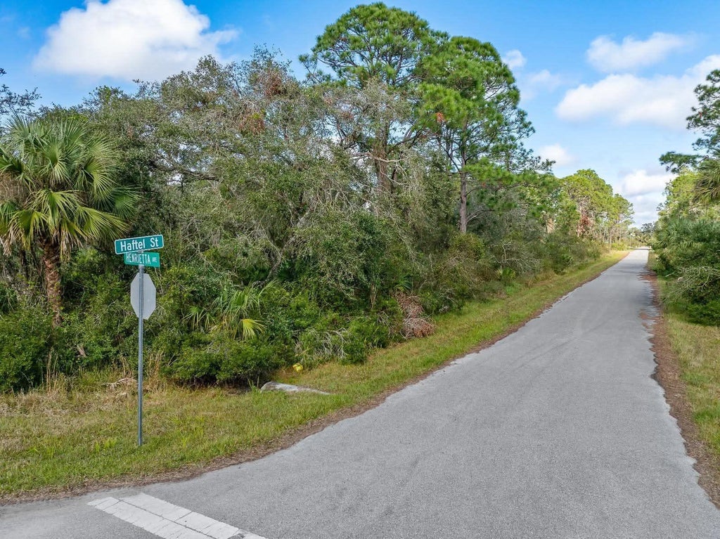 Photo of Haftel St, North Port, FL 34291 (MLS # A4704499)