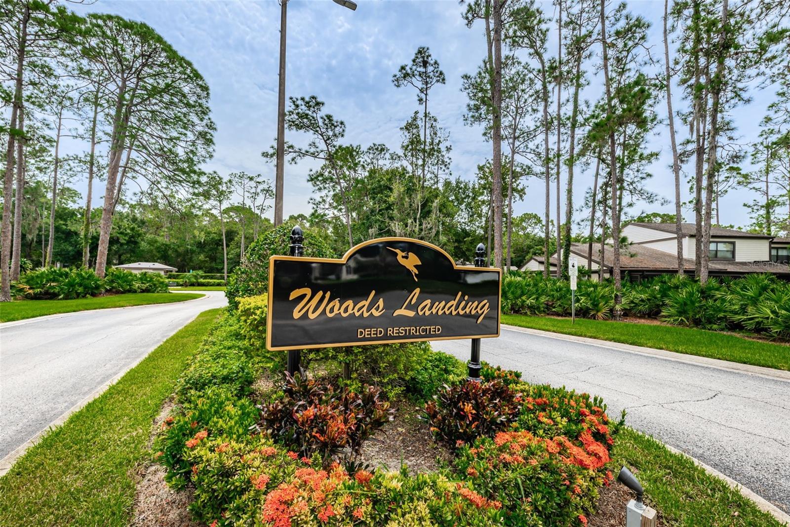 EAST LAKE WOODLANDS WOODS LANDING TWNHMS - Residential
