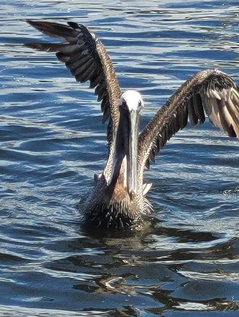 PUNTA GORDA ISLES SEC 21 - Land